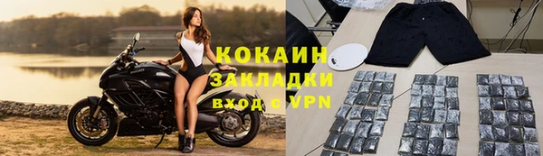 сатива Надым