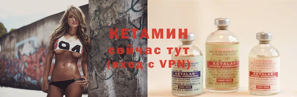 сатива Надым