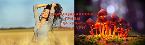 сатива Надым