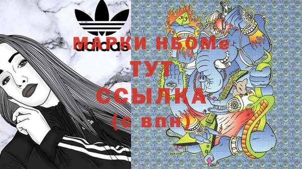 сатива Надым