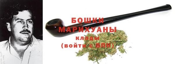 сатива Надым