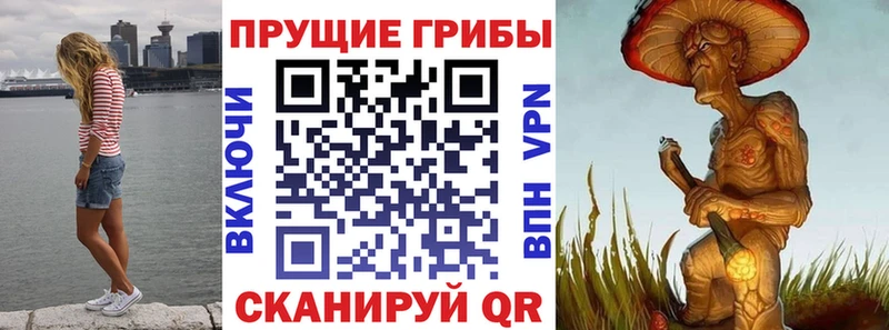 Галлюциногенные грибы Psilocybine cubensis  как найти   Петухово 